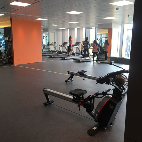 康師傅大樓健身房項目